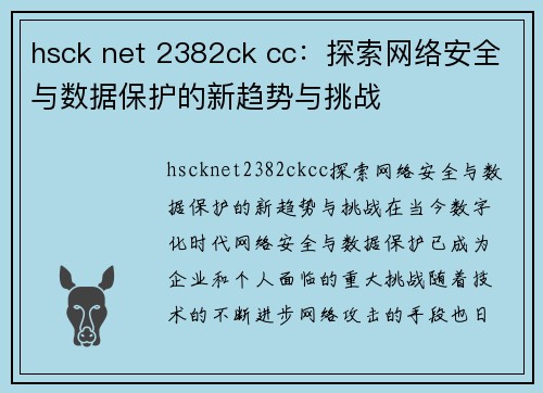 hsck net 2382ck cc：探索网络安全与数据保护的新趋势与挑战